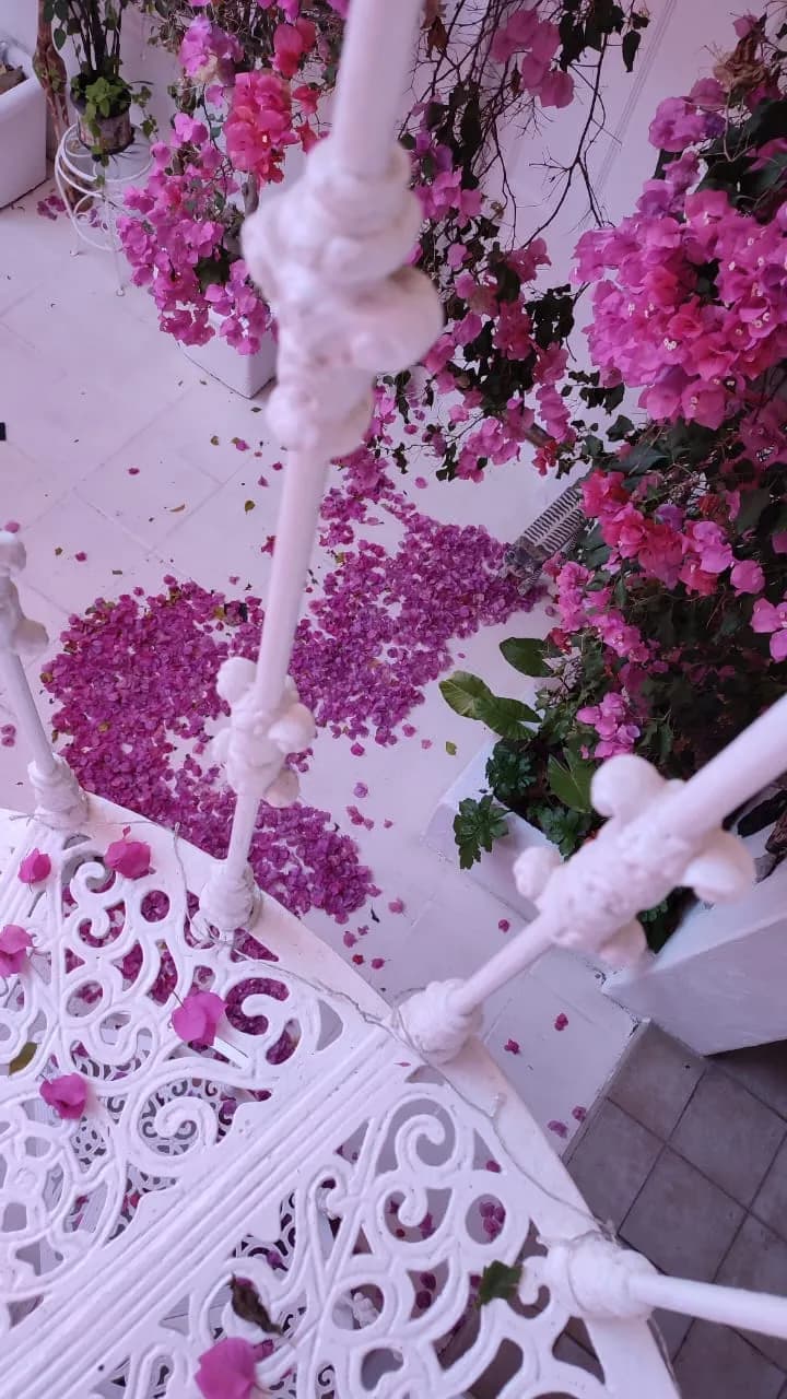 Spiral staircase overlooking courtyard bougainvillea